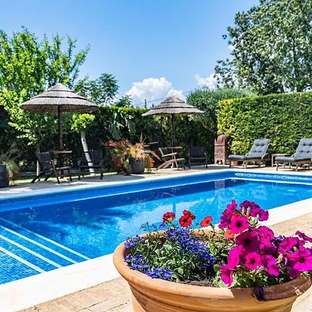 Alojamento de Acomodação e Pequeno-almoço Casa Adelante Sevilla Espartinas